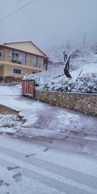 POLYTIMI HOUSE