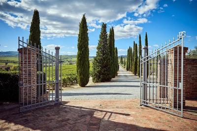 Poggio Golo - Villa and Winery - Tuscany
