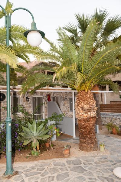 Ilias Studios sevasti