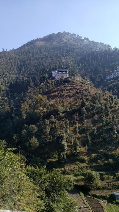 Icebergs Mussoorie - A Boutique stay and 24 hrs roof top cafe