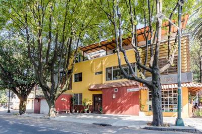 Collection O Casa Anzures Thematic, Mexico City