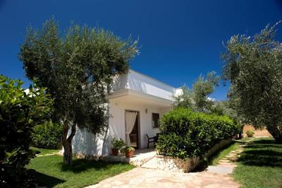 Apartment ulivo with pool and private beach
