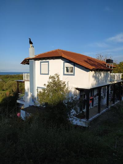 Alexandra Homestay