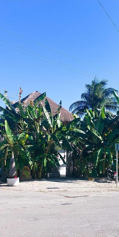 Hotel Xa´an Bacalar