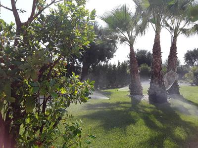 SantoStefano Holidays