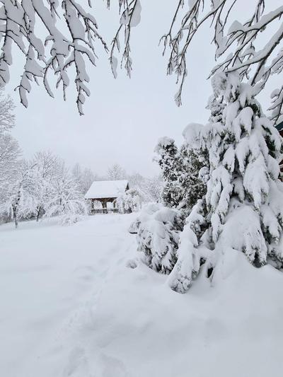 House Poljana