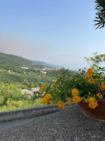 A casa di Zia Maria