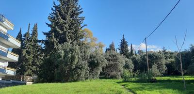 Παλατάκι