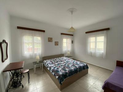 Stella's House