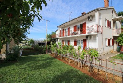 Apartments Franjo near center