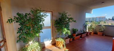 Bellavista Apartment