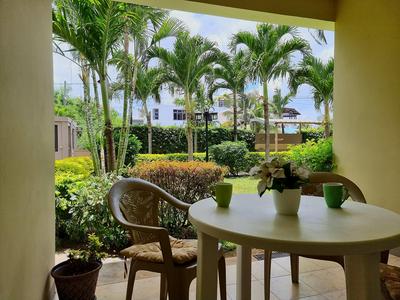 Coconut Palm Retreat