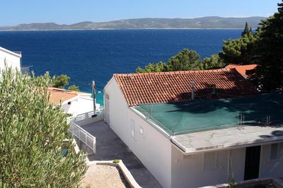 zorana