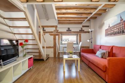 Central apt with 2 single bedrooms - Plaza Mayor