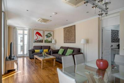 Bright with 7 balconies- 3 BDR 2BTH -Plaza Mayor