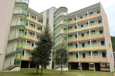 Grazioso Appartamento n 47 a 100mt dal mare
