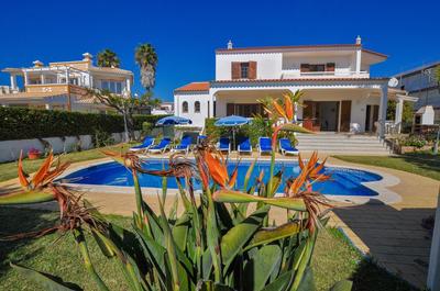 Casa das Palmeiras by OCvillas
