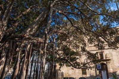 Lungarini Apartment - Historic Kalsa