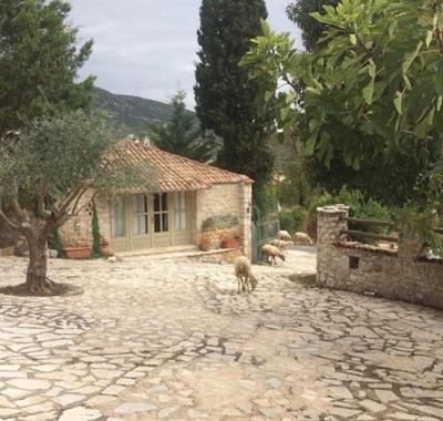 Elaion Guesthouse