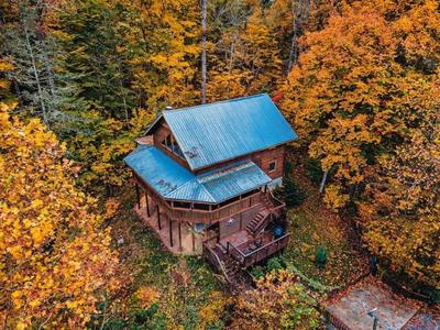 Mama Bear's Retreat