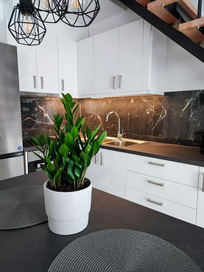 Freesia Loft Apartment