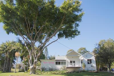 Byron Springs