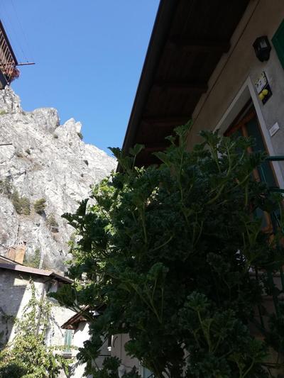 CASA MARIA lafinestrasulgarda