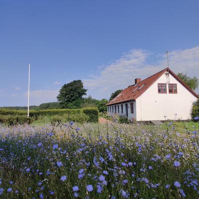 Under Canvas Bornholm