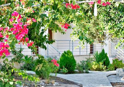 Chouzourakis Studios