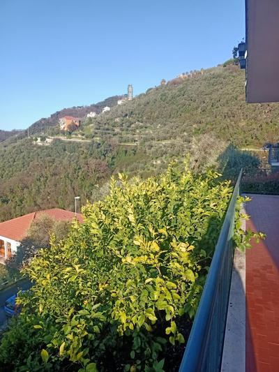 dalla Franca