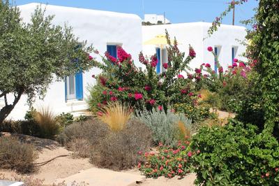 Blue Amaryllis Villas