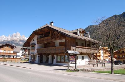Cesa Testa