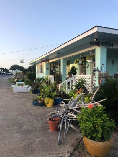 Swell Motel