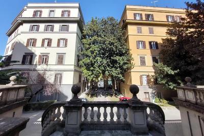 Bruno Buozzi, Beautiful 2br Apt With Terrace By Halldis