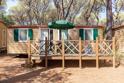 Comfort Lodge Maremma