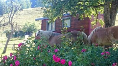 Ferme Traitsanes