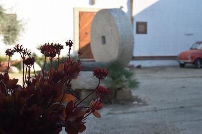 Casa dell'Olio - Al Baglio