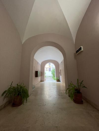parisa suite