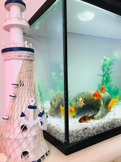 Appartamento a 50 metri dal mare.