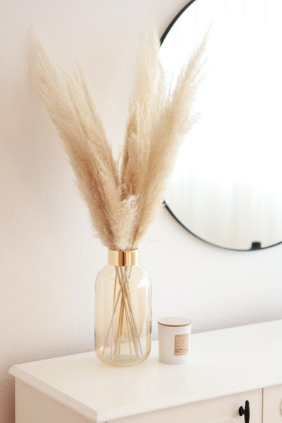 Apartment Pampas