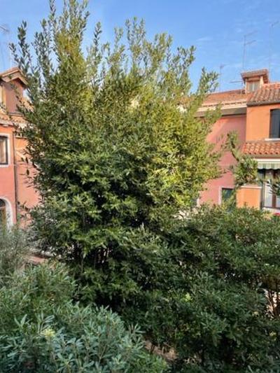 Ca' Della Carita'