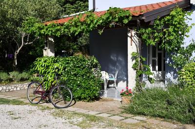 apartmani Novotny- žuti
