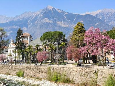 CityPointApartments-Park