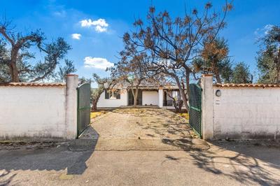 Villa Athena by BarbarHouse