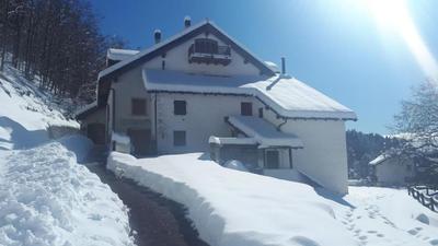 Haus Green & Spa Angelika Trentino