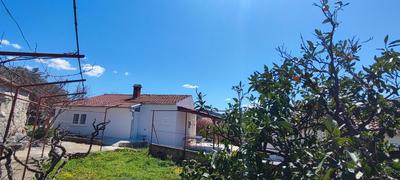 House "Olive Tree"