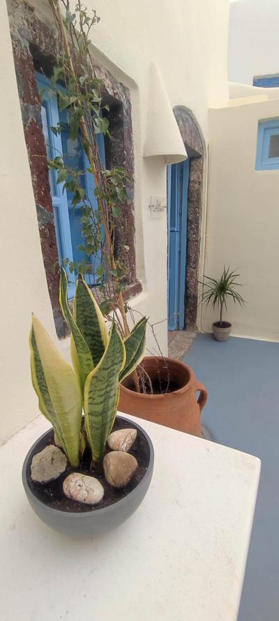 Assyrtiko by A Terre Cave Villas