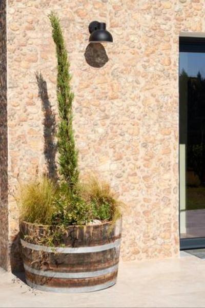 Trie Vineyard Cottage