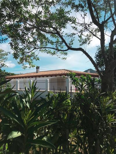 La Casa dell Olivo