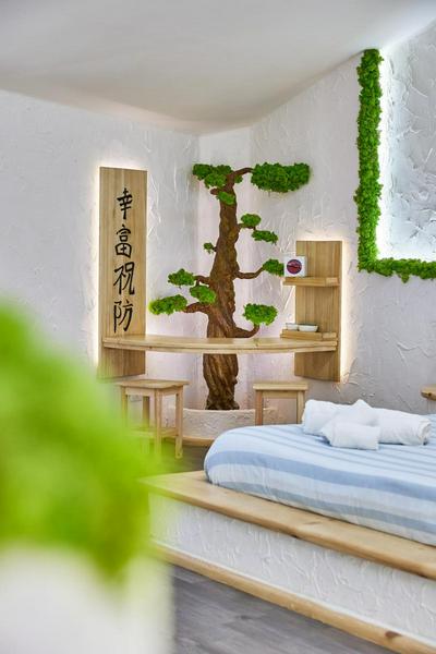 REnt room Japaroom